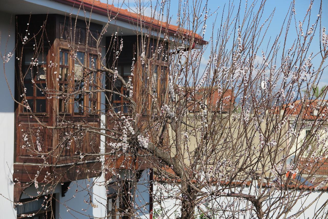 Livia Garden Hotel Selçuk Buitenkant foto