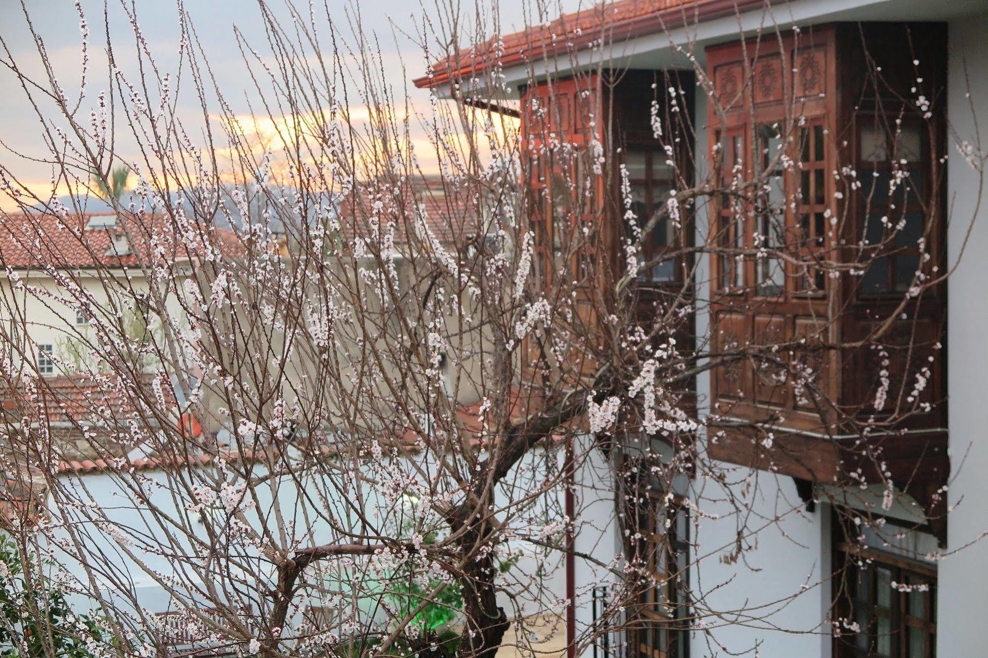 Livia Garden Hotel Selçuk Buitenkant foto